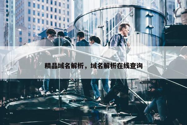 精品域名解析，域名解析在线查询