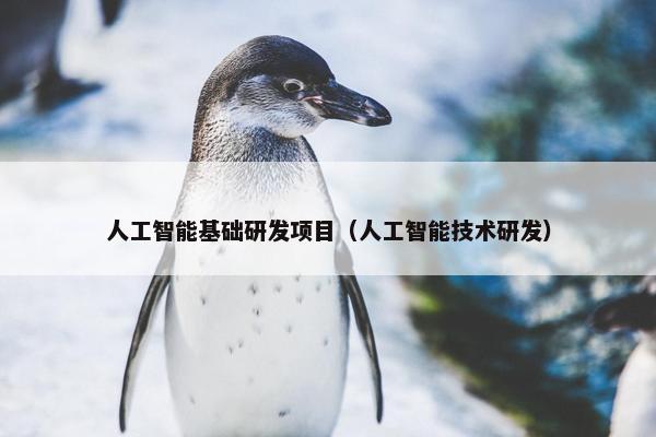 人工智能基础研发项目（人工智能技术研发）