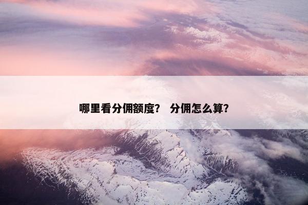 哪里看分佣额度？ 分佣怎么算？