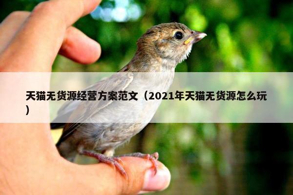 天猫无货源经营方案范文（2021年天猫无货源怎么玩）