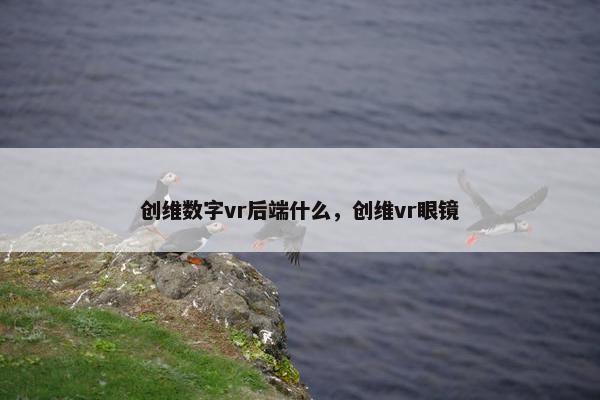 创维数字vr后端什么，创维vr眼镜