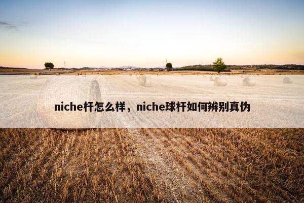 niche杆怎么样，niche球杆如何辨别真伪