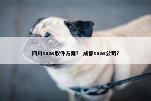 四川saas软件方案？ 成都saas公司？