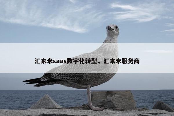 汇来米saas数字化转型，汇来米服务商
