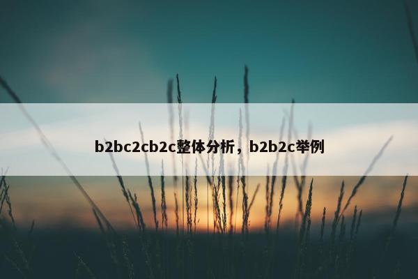 b2bc2cb2c整体分析，b2b2c举例