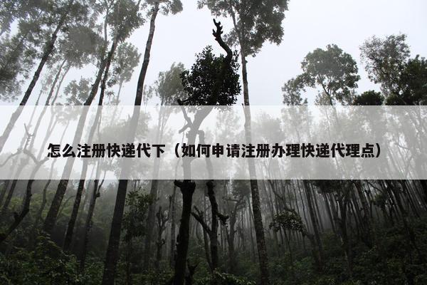 怎么注册快递代下（如何申请注册办理快递代理点）