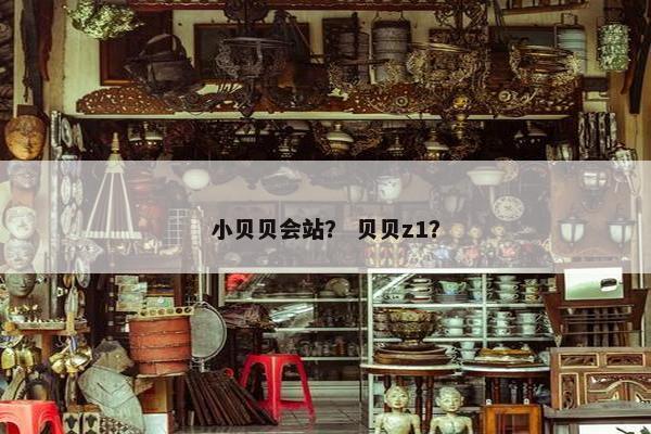 小贝贝会站？ 贝贝z1？