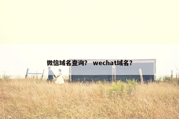 微信域名查询？ wechat域名？