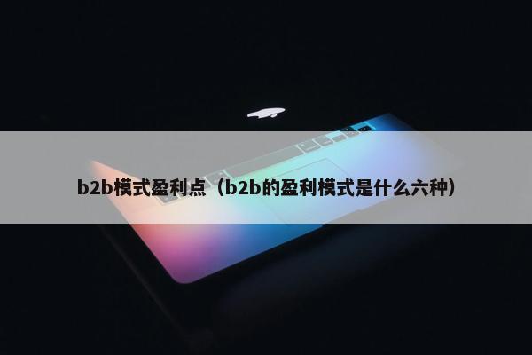 b2b模式盈利点（b2b的盈利模式是什么六种）