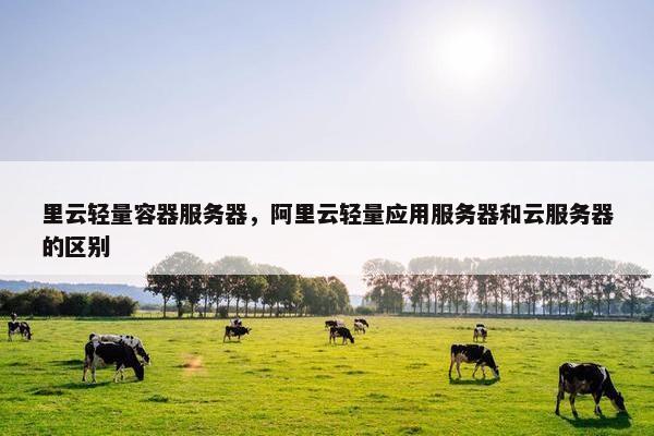 里云轻量容器服务器，阿里云轻量应用服务器和云服务器的区别