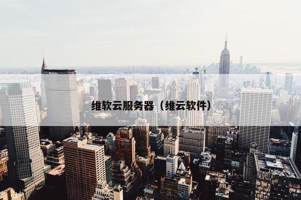 维软云服务器（维云软件）
