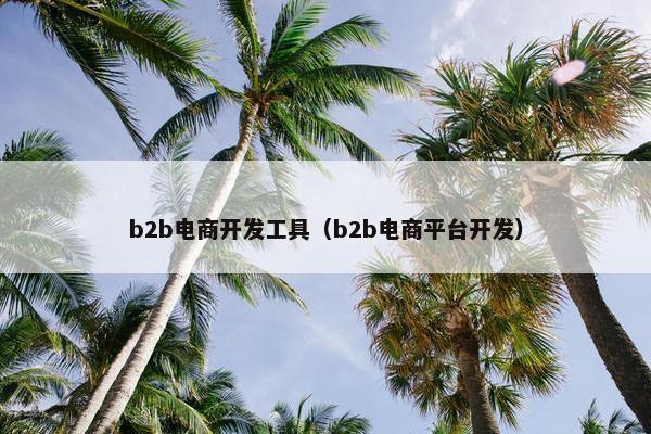 b2b电商开发工具（b2b电商平台开发）
