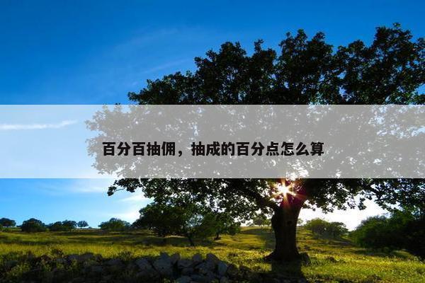 百分百抽佣，抽成的百分点怎么算