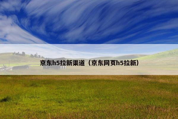 京东h5拉新渠道（京东网页h5拉新）