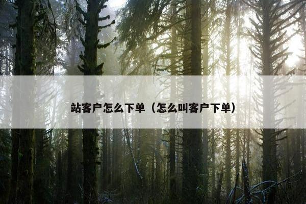 站客户怎么下单（怎么叫客户下单）