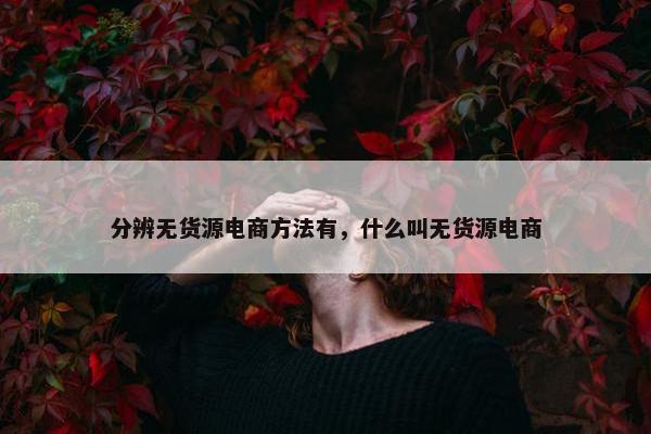 分辨无货源电商方法有，什么叫无货源电商