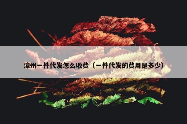 漳州一件代发怎么收费（一件代发的费用是多少）