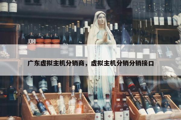 广东虚拟主机分销商，虚拟主机分销分销接口