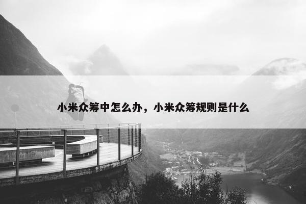 小米众筹中怎么办，小米众筹规则是什么