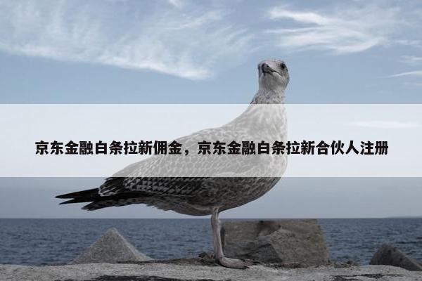 京东金融白条拉新佣金，京东金融白条拉新合伙人注册