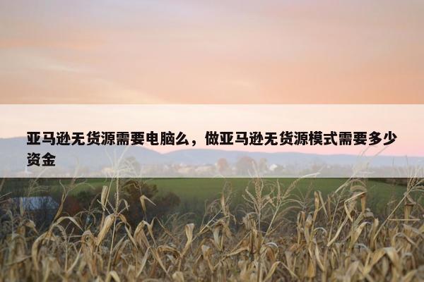 亚马逊无货源需要电脑么，做亚马逊无货源模式需要多少资金