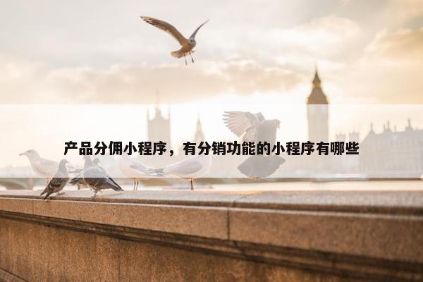产品分佣小程序，有分销功能的小程序有哪些