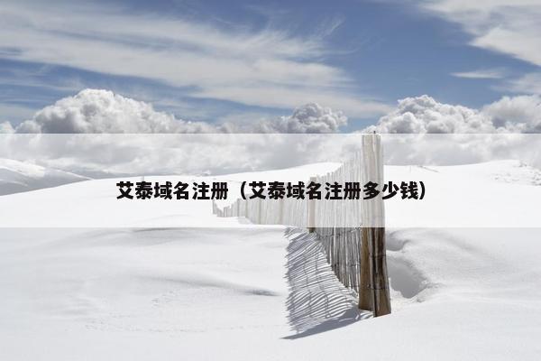 艾泰域名注册（艾泰域名注册多少钱）