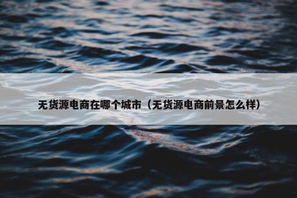 无货源电商在哪个城市（无货源电商前景怎么样）