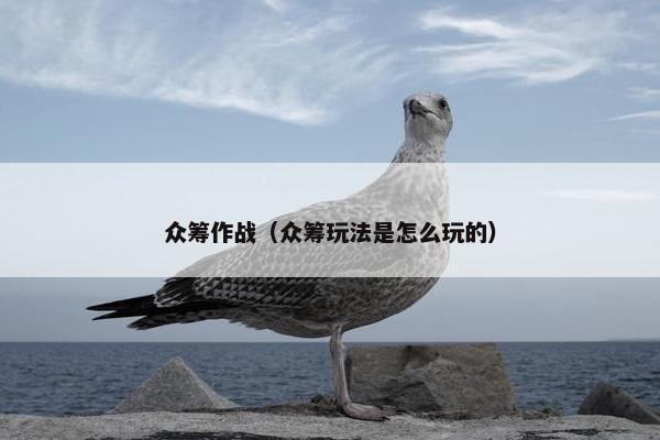众筹作战（众筹玩法是怎么玩的）
