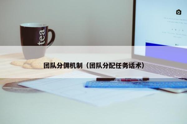 团队分佣机制（团队分配任务话术）