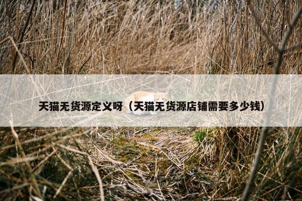 天猫无货源定义呀（天猫无货源店铺需要多少钱）