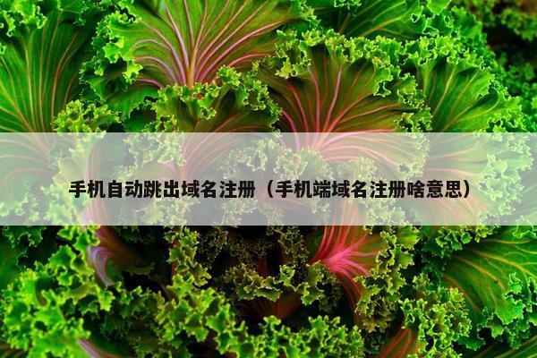 手机自动跳出域名注册（手机端域名注册啥意思）