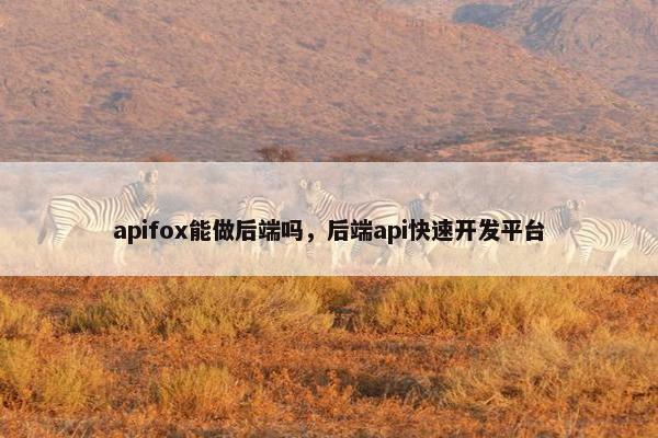 apifox能做后端吗，后端api快速开发平台
