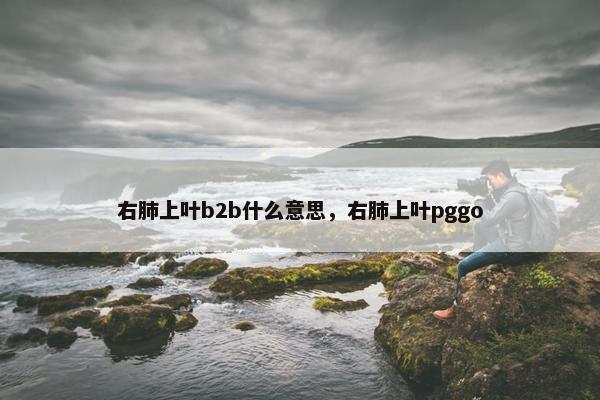 右肺上叶b2b什么意思，右肺上叶pggo