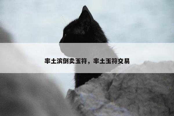 率土滨倒卖玉符，率土玉符交易