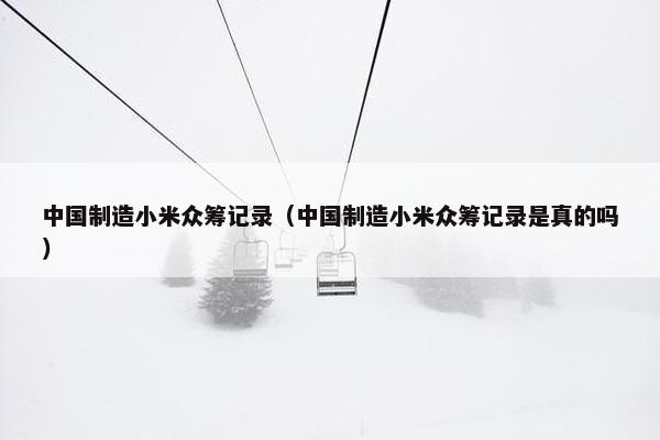 中国制造小米众筹记录（中国制造小米众筹记录是真的吗）