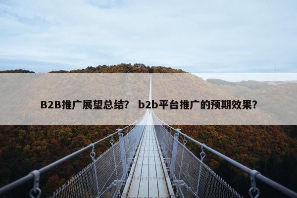 B2B推广展望总结？ b2b平台推广的预期效果？