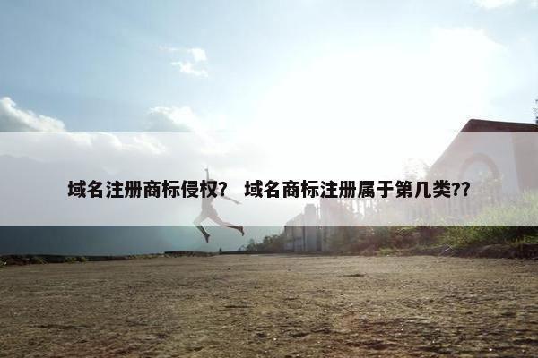 域名注册商标侵权？ 域名商标注册属于第几类?？
