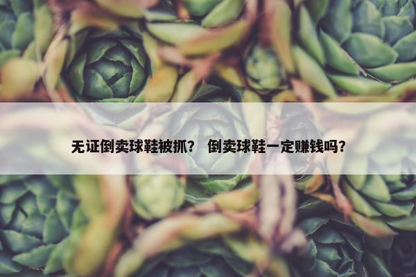 无证倒卖球鞋被抓？ 倒卖球鞋一定赚钱吗？