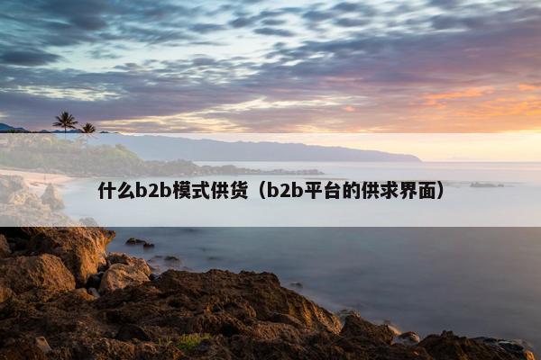 什么b2b模式供货（b2b平台的供求界面）