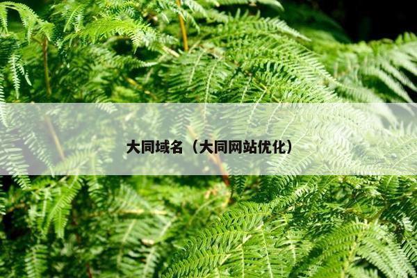 大同域名（大同网站优化）