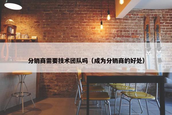 分销商需要技术团队吗（成为分销商的好处）