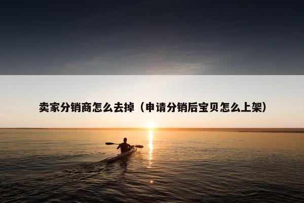 卖家分销商怎么去掉（申请分销后宝贝怎么上架）