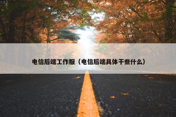 电信后端工作服（电信后端具体干些什么）