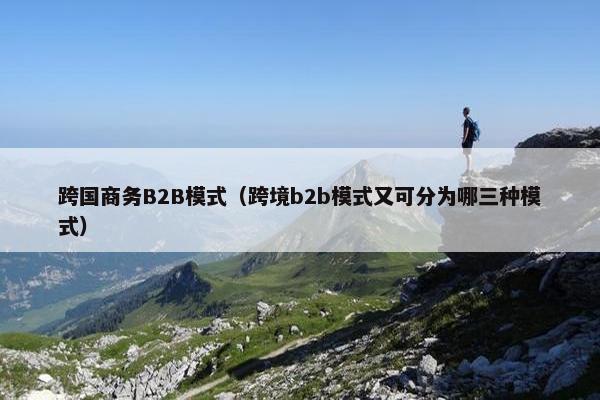 跨国商务B2B模式（跨境b2b模式又可分为哪三种模式）