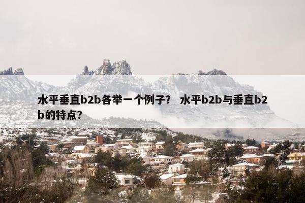 水平垂直b2b各举一个例子？ 水平b2b与垂直b2b的特点？