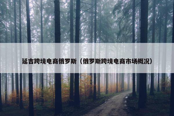 延吉跨境电商俄罗斯（俄罗斯跨境电商市场概况）