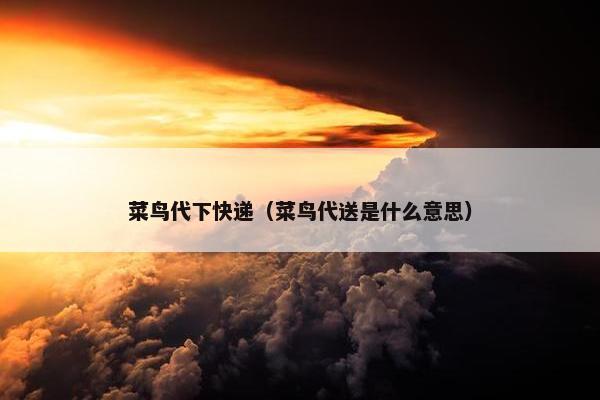 菜鸟代下快递（菜鸟代送是什么意思）