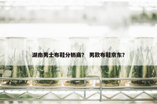 湖南男士布鞋分销商？ 男款布鞋京东？