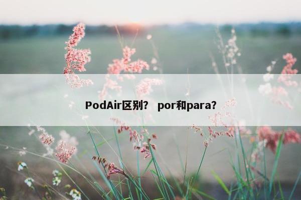 PodAir区别？ por和para？